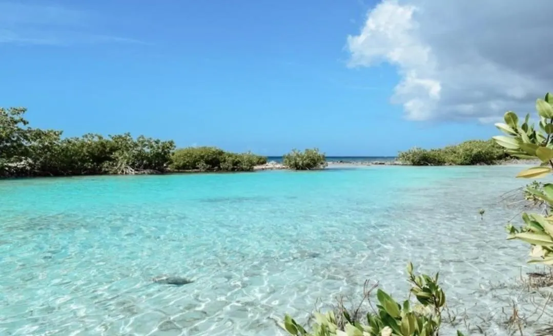 Sunny Villa Blenchi W Private Outdoor Pool! Willemstad 0*,  Curacao
